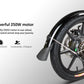 FIIDO D2S - 250W Motor 7.8Ah Battery - Folding Electric Bike
